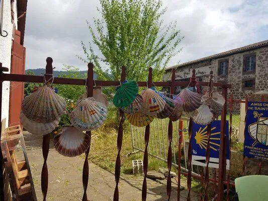 shells on a fence