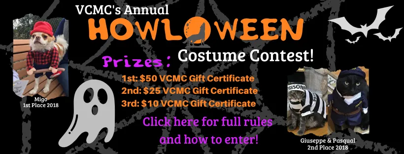 Halloween Costume Contest 2019
