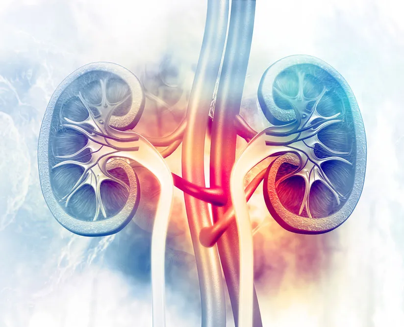  Chronic Kidney Disease 