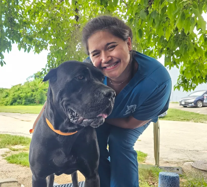 Medical Boarding Image