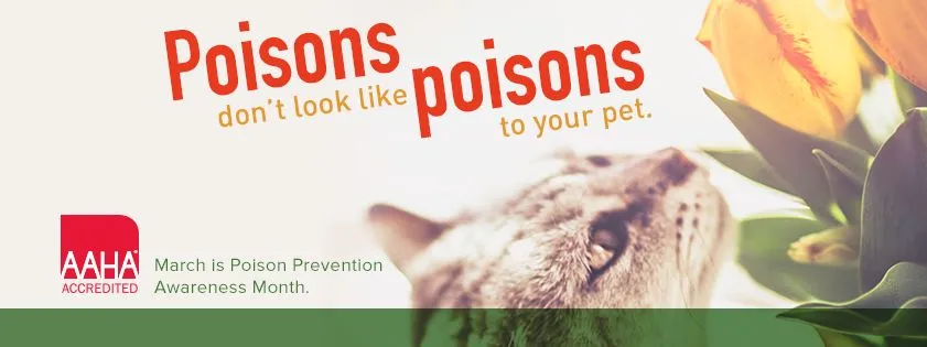 Poison Prevention Month