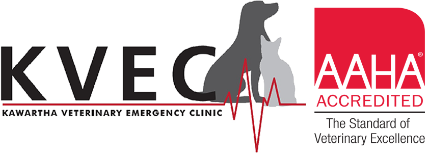 veterinary emergency clinics