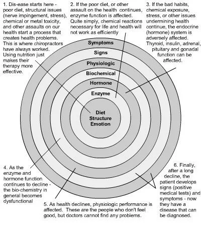 holistic_health_circles.jpg