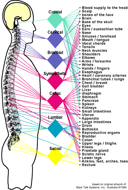 plexuschart.gif