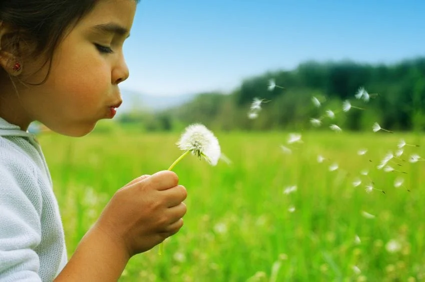 child in the field