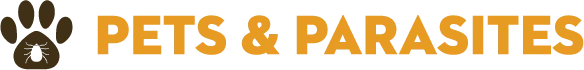 PP