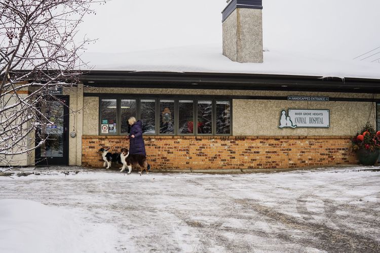 Inver Grove Heights Animal Hospital Tour | Veterinarian in Inver Grove