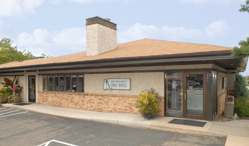 Inver Grove Heights Animal Hospital Tour | Veterinarian in Inver Grove