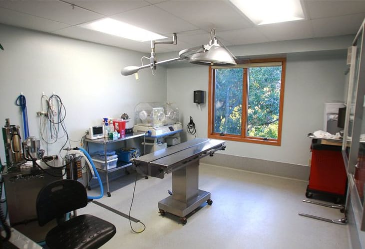 Inver Grove Heights Animal Hospital Tour | Veterinarian in Inver Grove