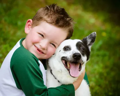 boy and dog