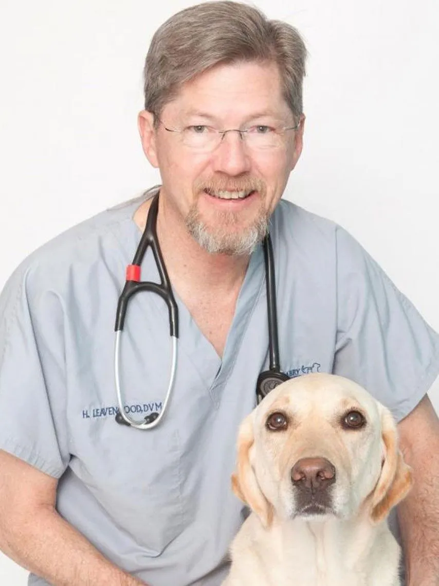 South Tampa Veterinarian Hansel Leavengood