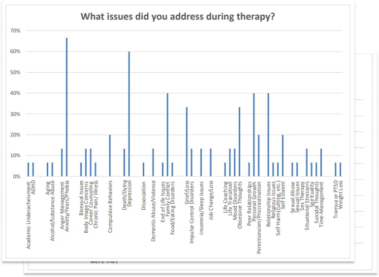Loren Question Survey Graphs