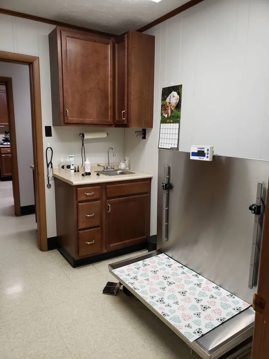 Canine Exam Room