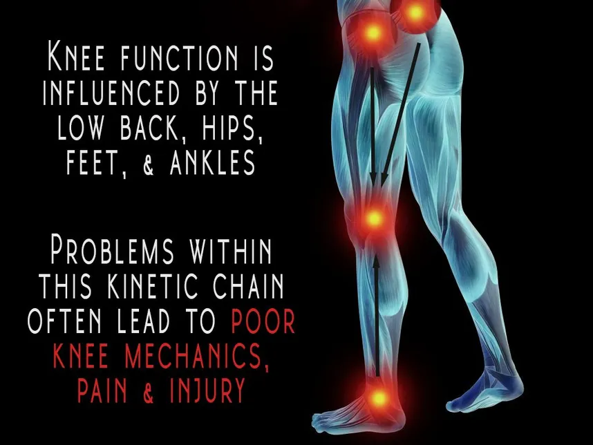 the origin of knee pain