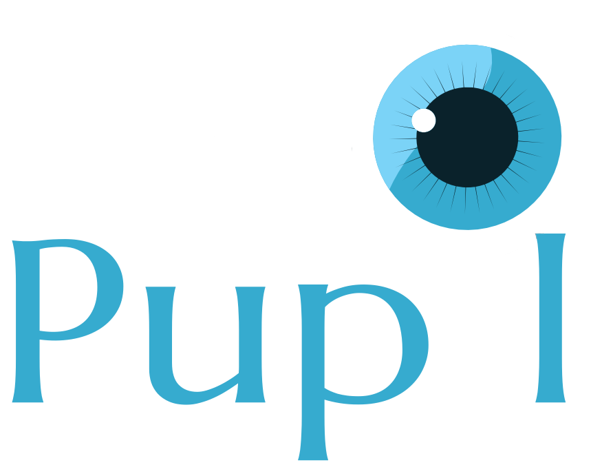 NYC Pupil