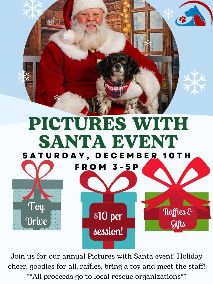 Santa Poster 2022
