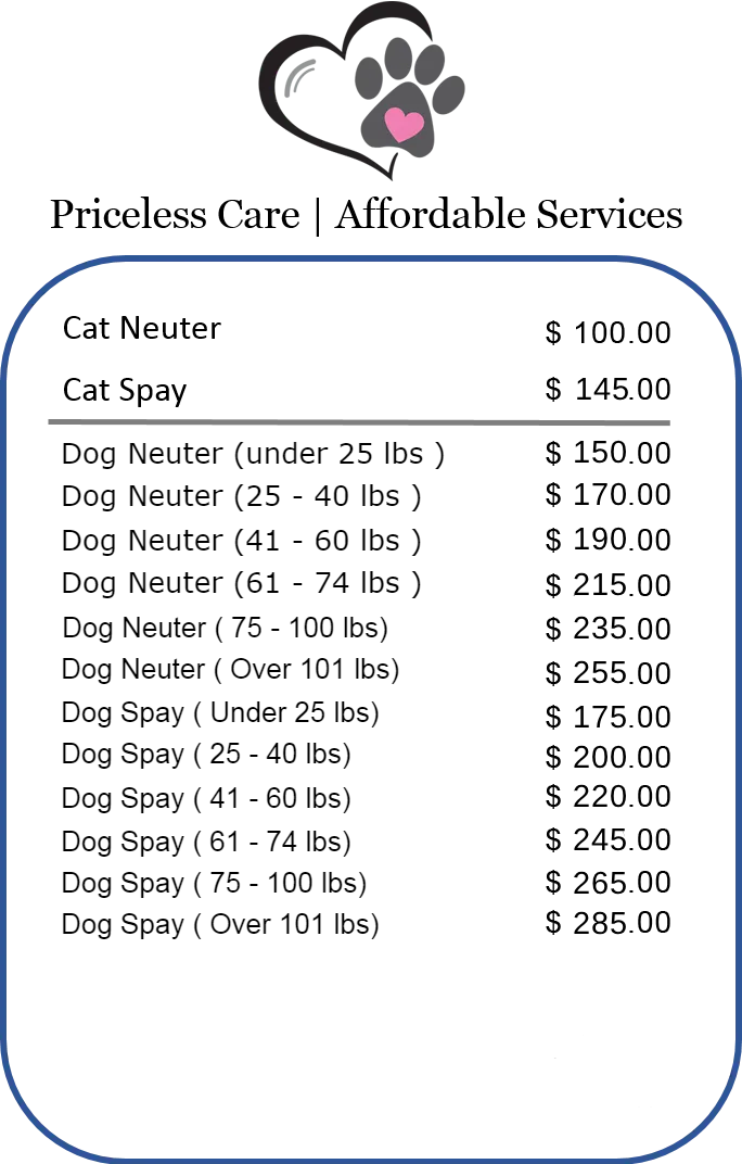 Pricelist of spay n neuter