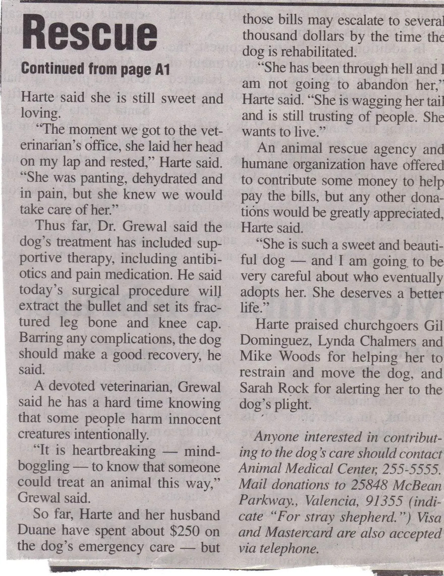 bethany1.jpg - 509.39 KB