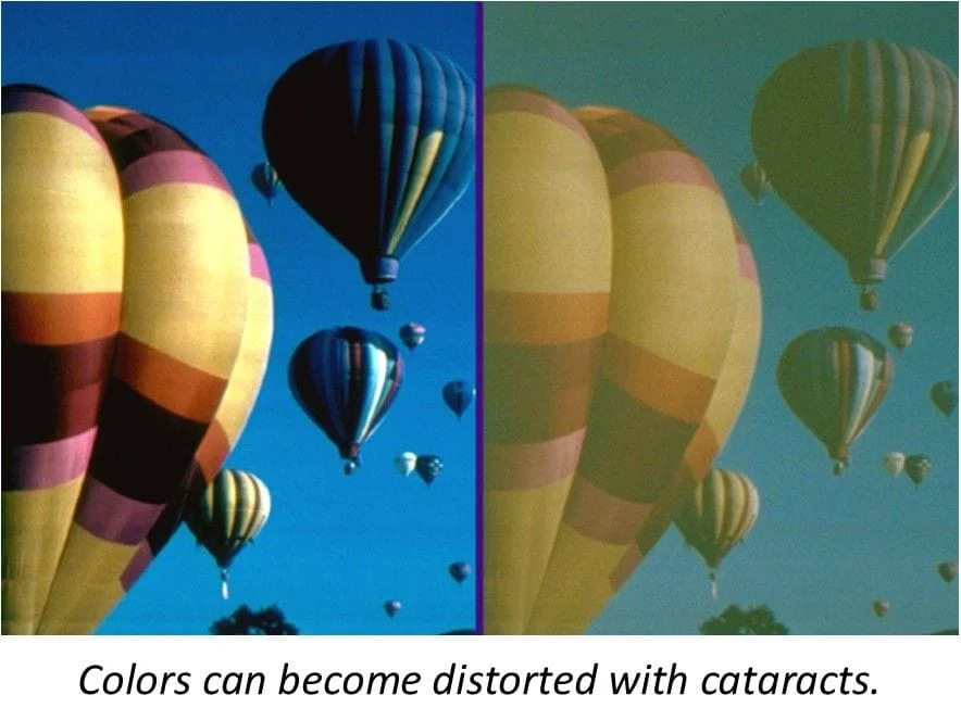 Hot air balloon comparison