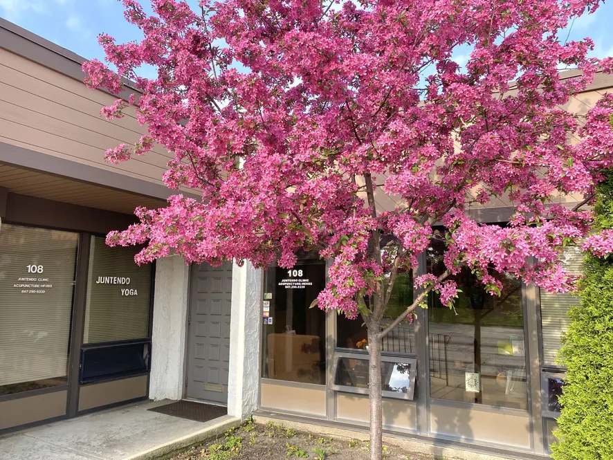 Clinic Front with tree