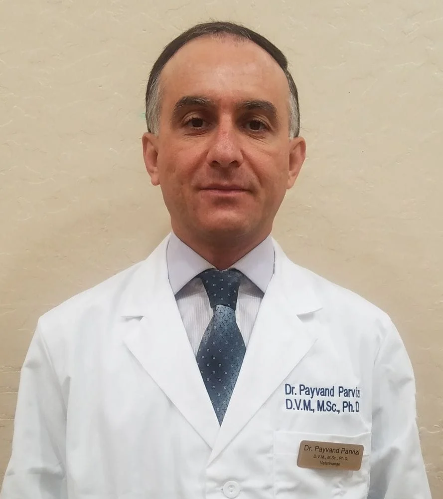 Dr. Payvand Parvizi