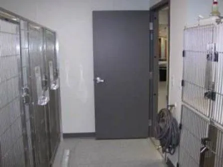 Dog Ward 2.jpg