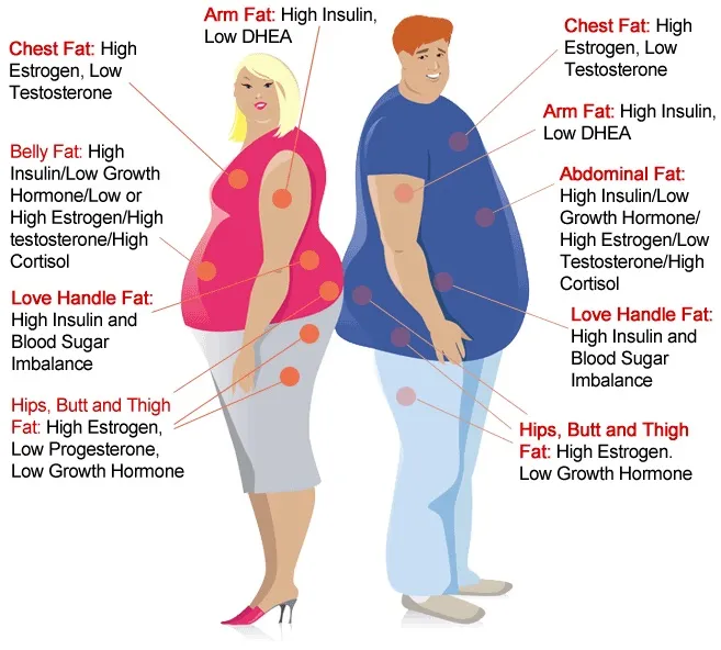 hormones weight