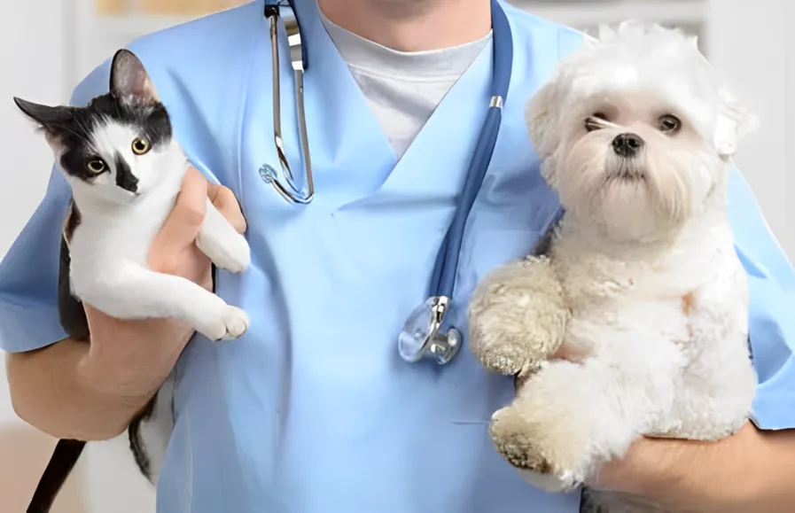 Pet Vaccination