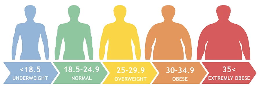 body mass index