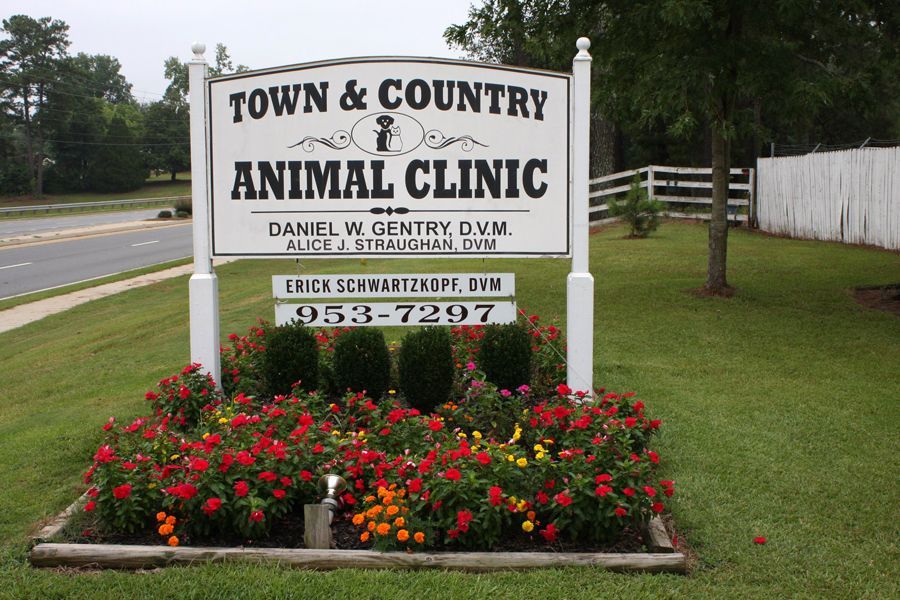 Clinic Tour Veterinarian in Warner Robins, GA Town & Country Animal