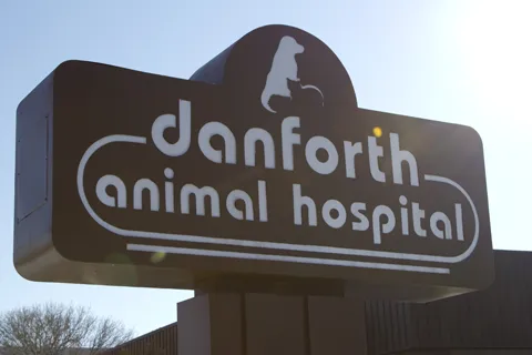 Danforth Animal