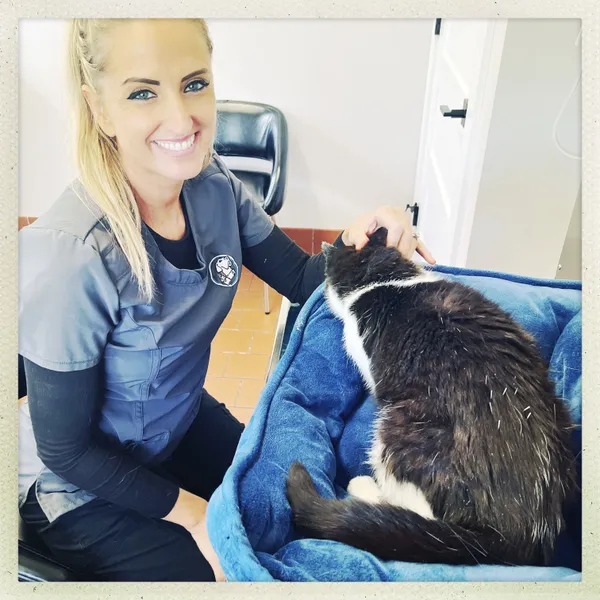 Walker Valley Veterinary Hospital