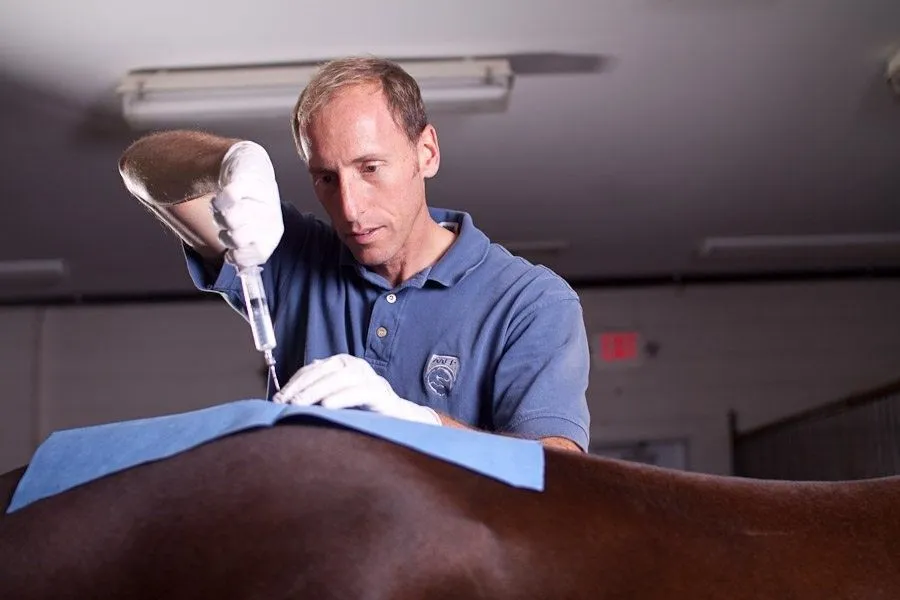 Carolina Equine Hospital - Veterinarian in Browns Summit, NC