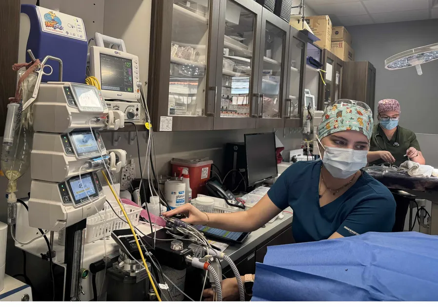 anesthesia monitoring