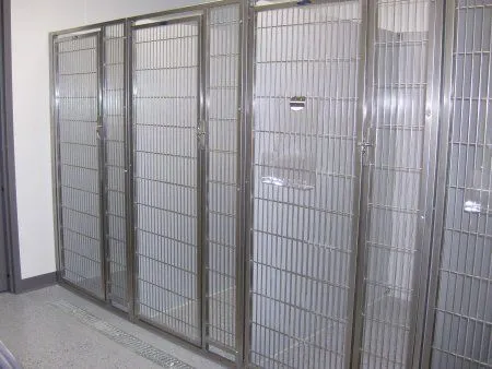 Dog ward.jpg