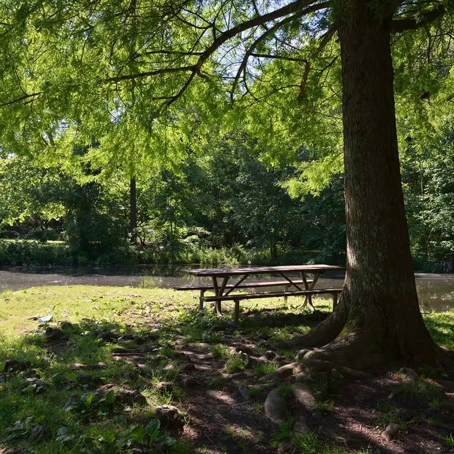 photo of a park in Salisbury