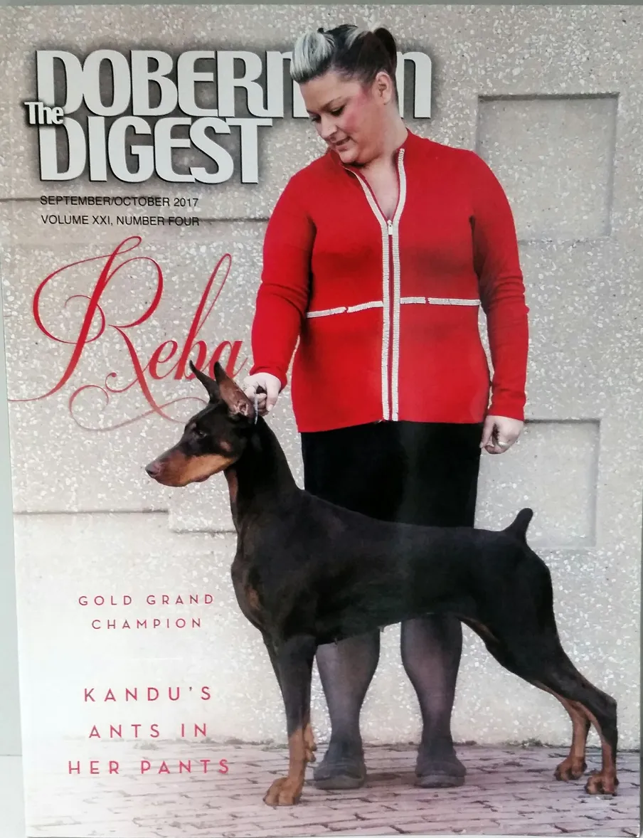 doberman digest