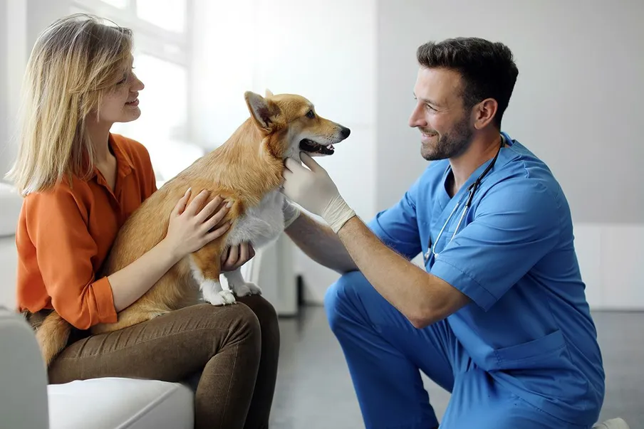 vet with dog and owner