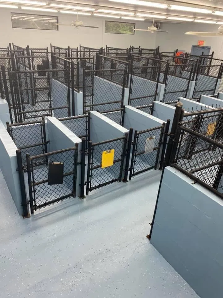 kennel