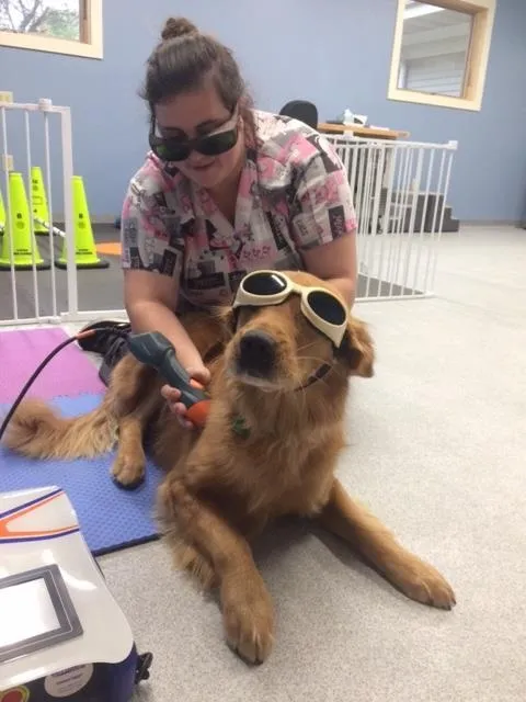 Laser Therapy