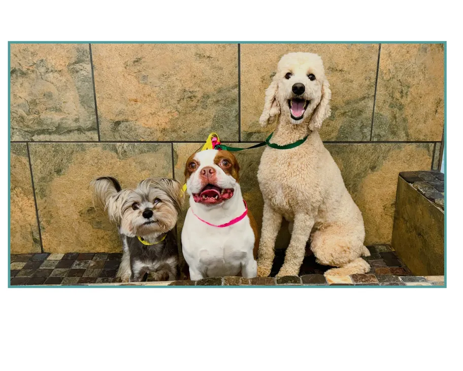 Fleek-Riley-Chewy-Bath