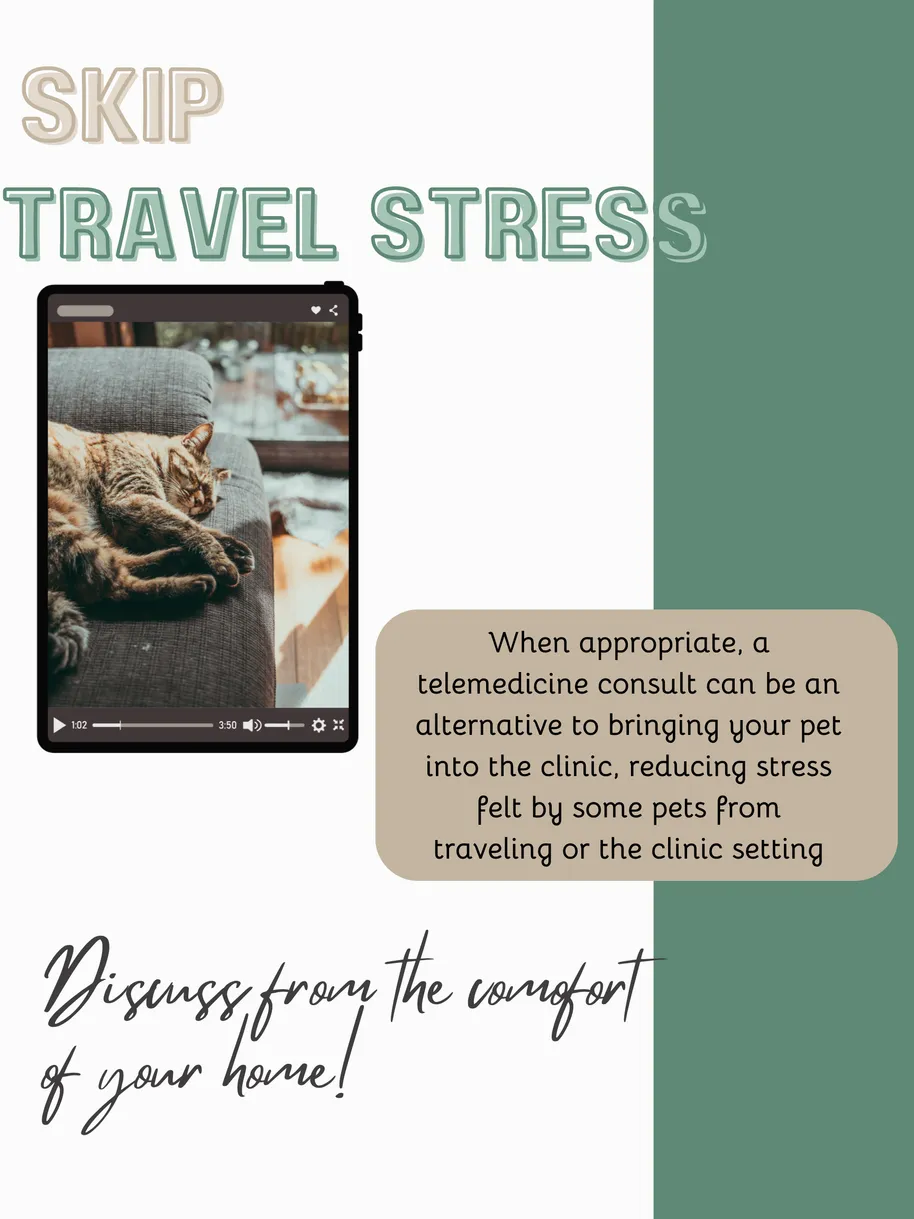 Skip Travel Stress
