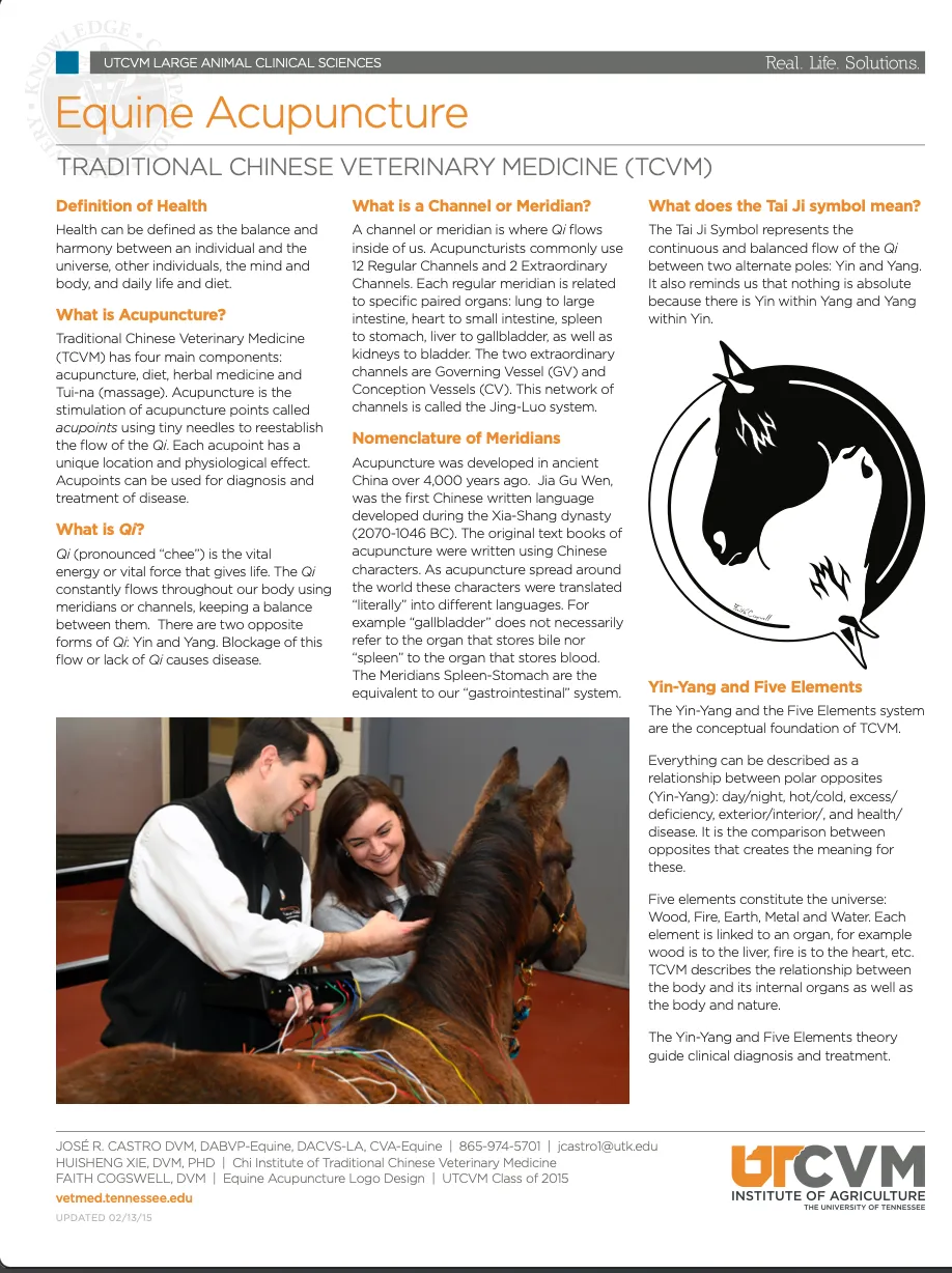 DCLAH Horse Acupuncture 