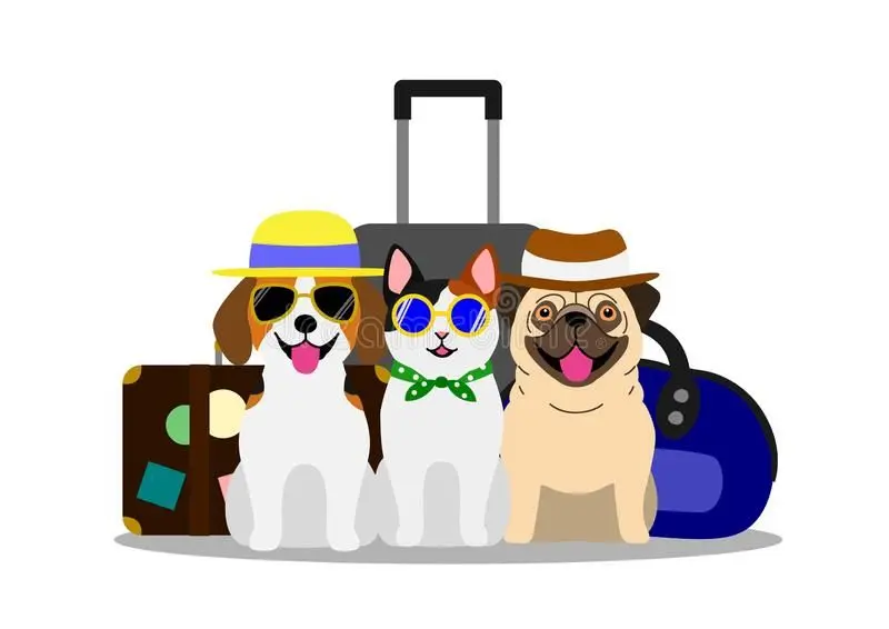 International Pet Travel