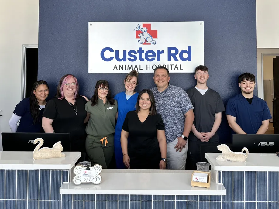 Custer Rd Animal Hospital team photo