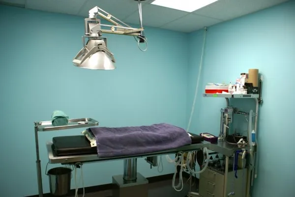 Surgical Suite