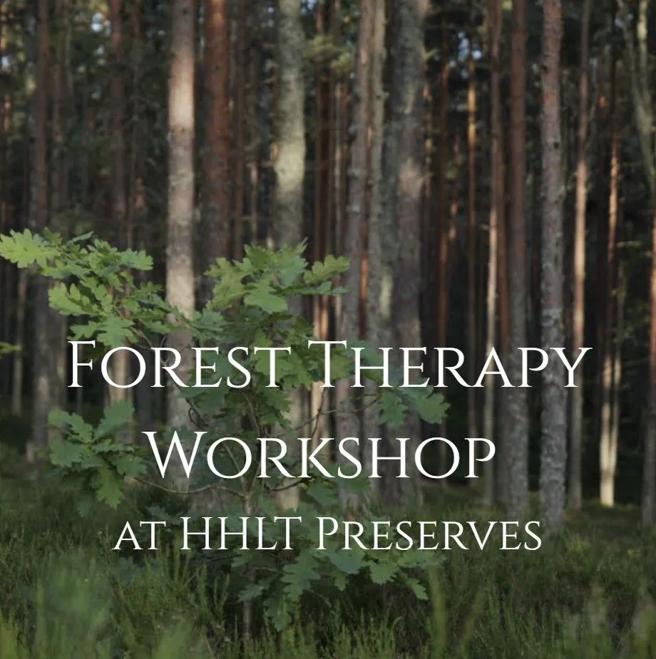 FOREST THERAPY WORKSHOP