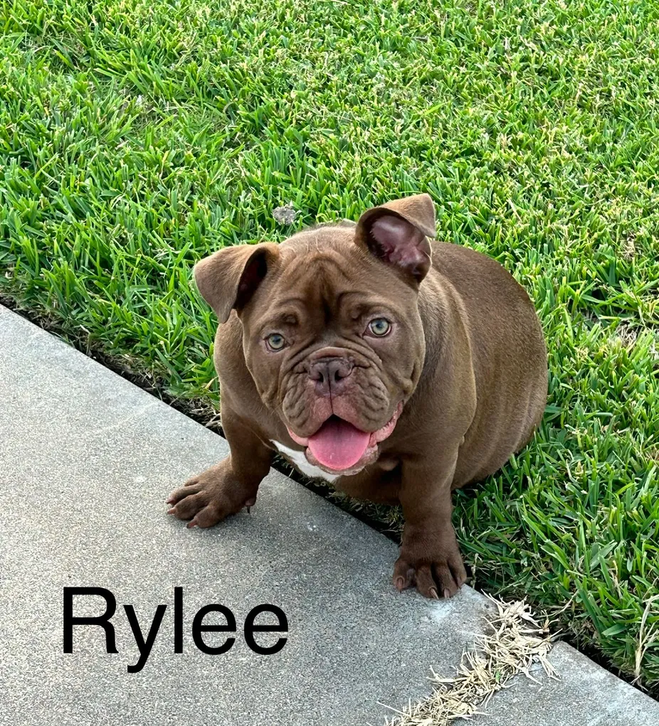 Rylee