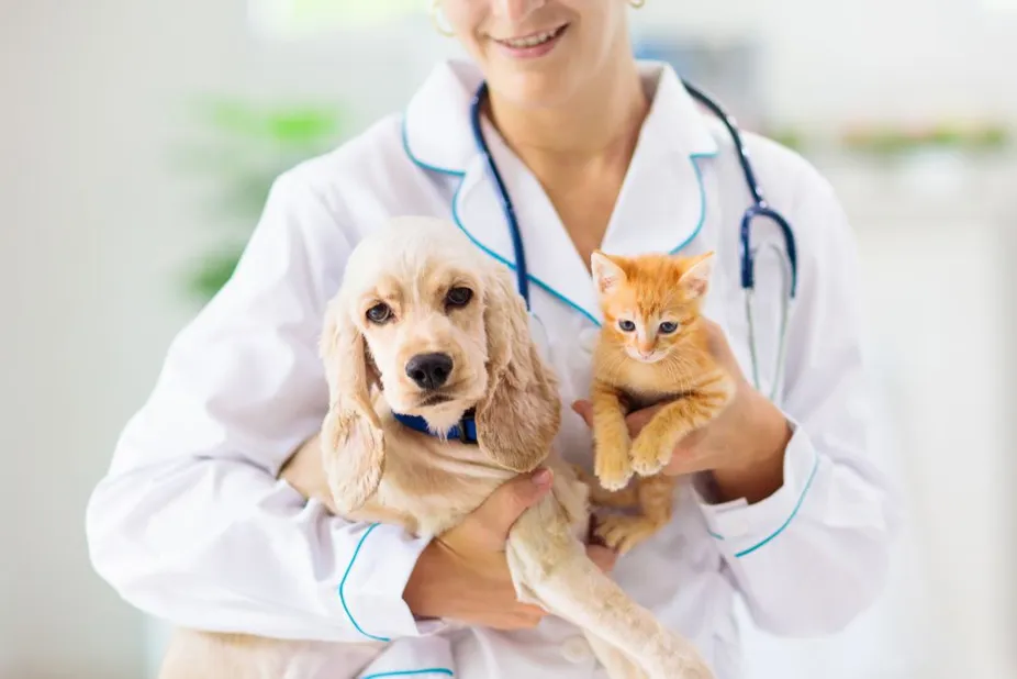 Guide to Understanding Wellness Exams for Cats and Dogs