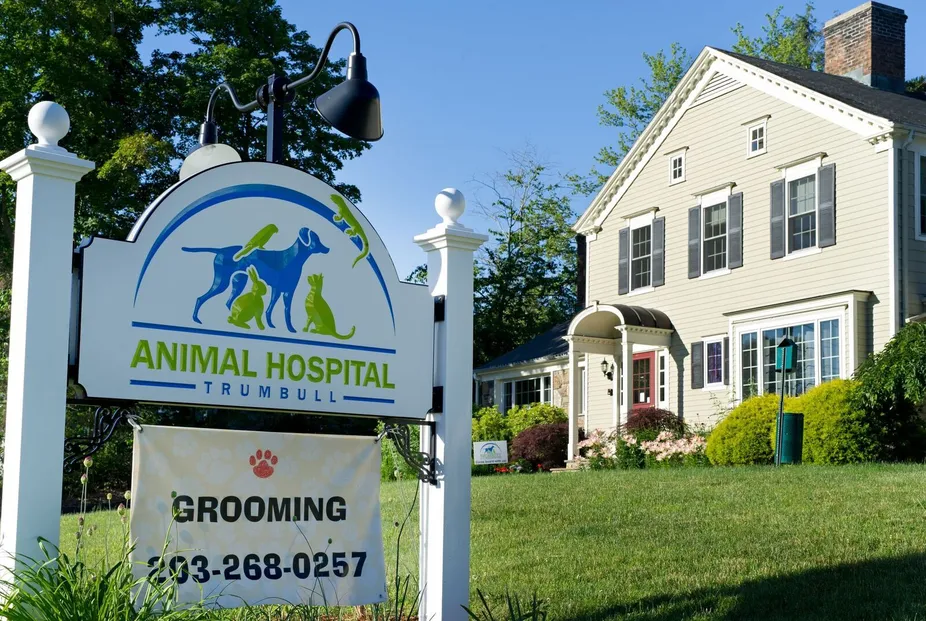 Pet Grooming in Suttons Bay  Suttons Bay Animal Hospital